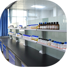 永利yl23411集团官网研发优势